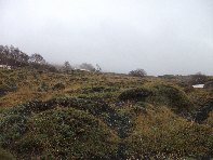 Serra_delle_Concazze - Astragalus Siculus_Spinosanto_20100425 012.jpg